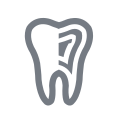 Cross Section tool